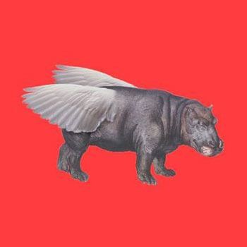 flying hippo