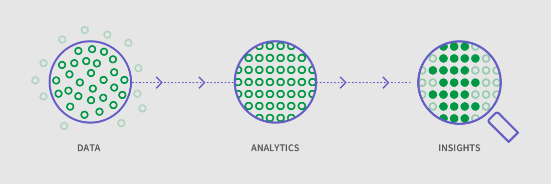 data insights