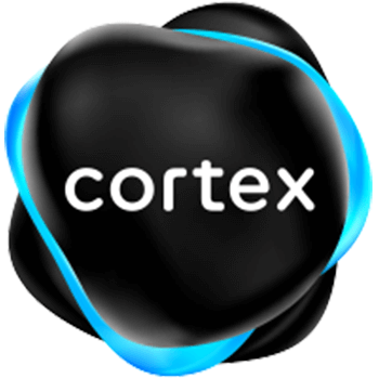 cortex